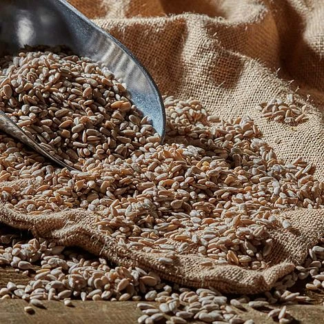 Sunflower Hearts 2 Sunflower Hearts - Image 2