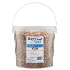 Meal Worms (Tub) 10 Meal Worms (Tub) -Bloomyard Flower Shop G2547 1