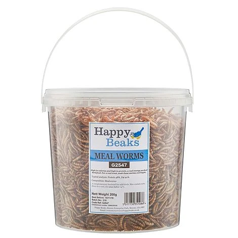 Meal Worms (Tub) 5 Meal Worms (Tub) - Image 5