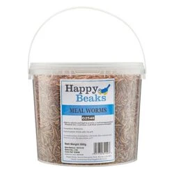 Meal Worms (Tub) 9 Meal Worms (Tub) -Bloomyard Flower Shop G2548 1