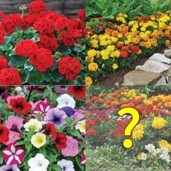 Garden Ready Summer Saver Collection